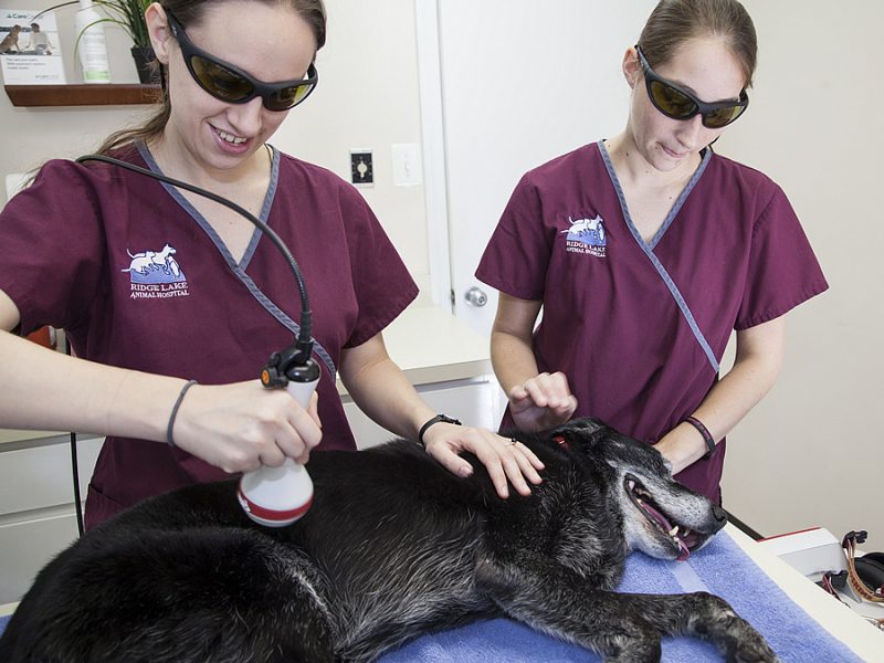 Laser-Therapy